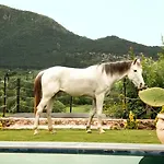Kassandra Heritage (adults Only) Ξενοδοχείο *