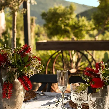 Kassandra Heritage (adults Only)