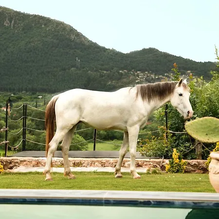 Kassandra Heritage (adults Only) ホテル *