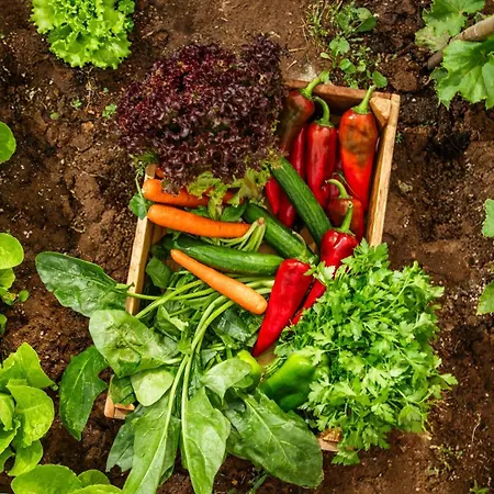 Kassandra Heritage (adults Only) Hotel Fethiye