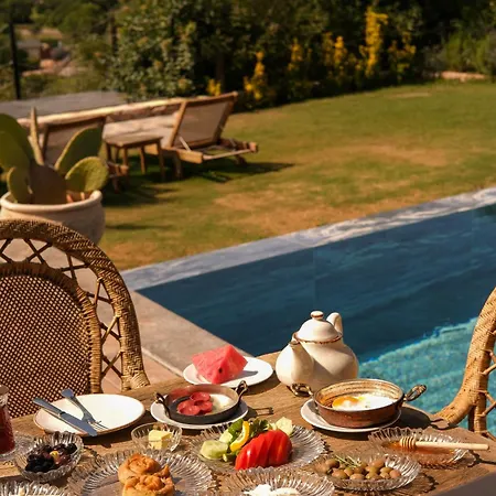 Kassandra Heritage (adults Only) *