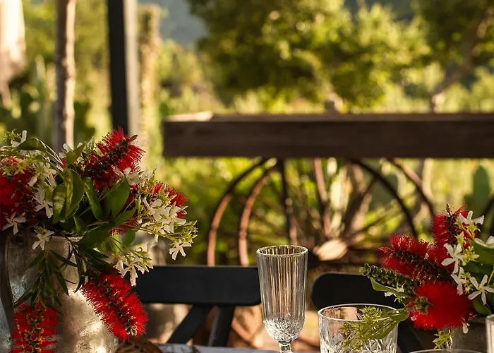 Kassandra Heritage (adults Only)