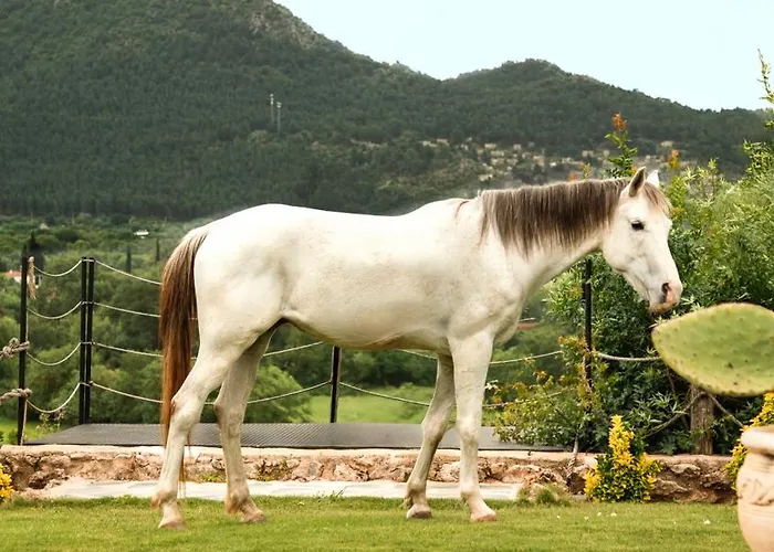 Kassandra Heritage (adults Only) Ξενοδοχείο *