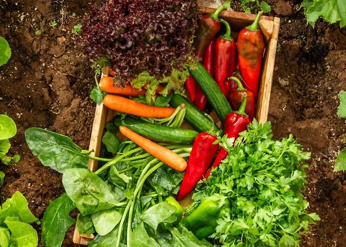 Kassandra Heritage (adults Only) Ξενοδοχείο Φετιγιέ